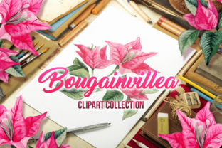 Bougainvillea Floral Clipart: A Creative Resource for Designers and Makers