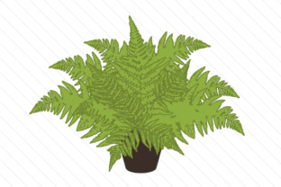 Exploring the Elegance of Floral Design Ferns in Modern Visual Art